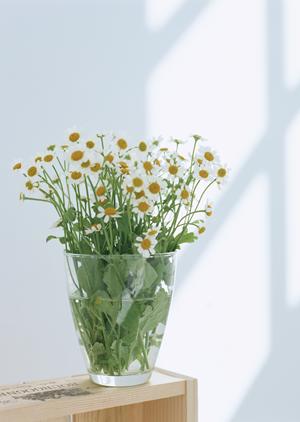 アスベストの調査と対処は静岡で始める