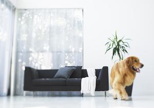 千葉で防音室の設置をお考えなら