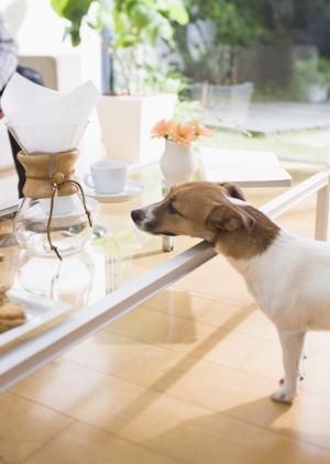 エクステリアに関係する会社について